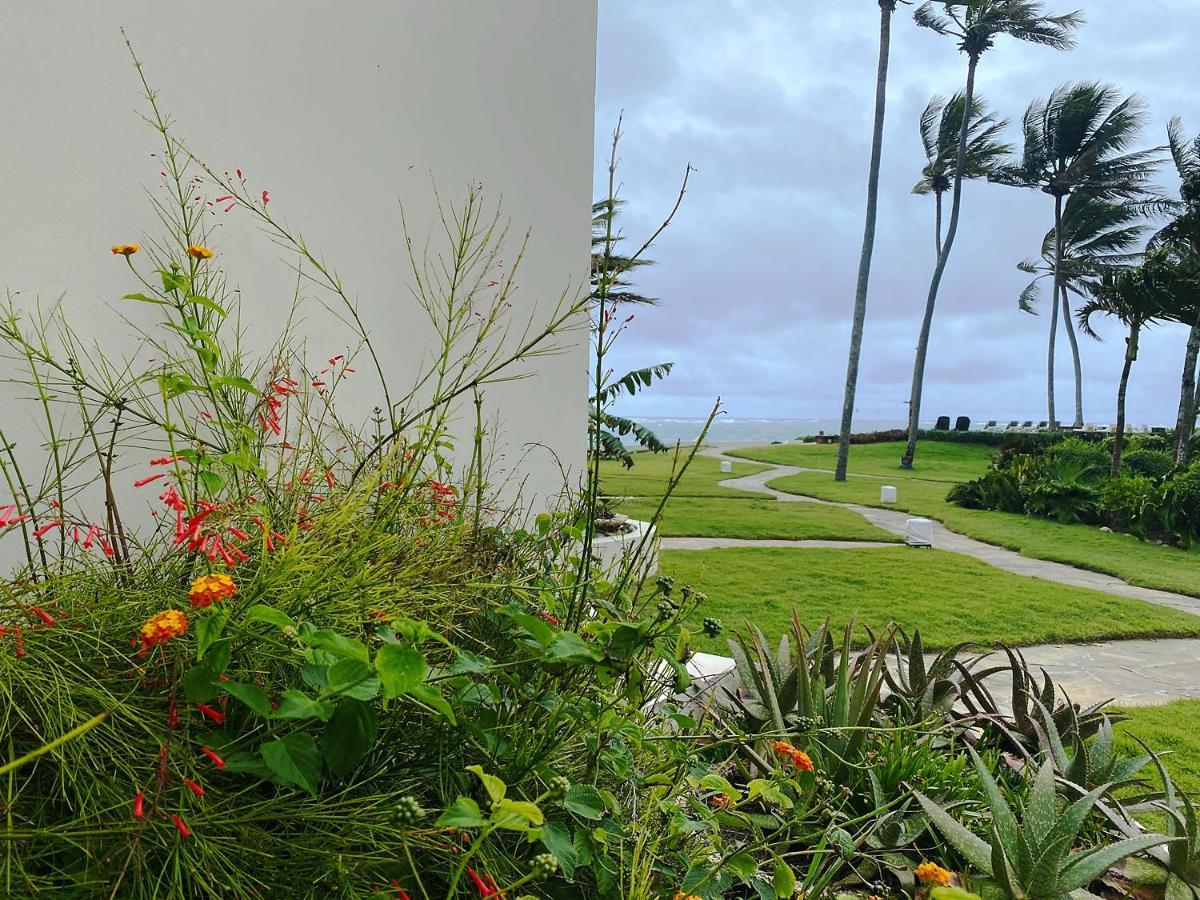 Cabarete Beachfront Condos At Nanny Estate C-5 Buitenkant foto
