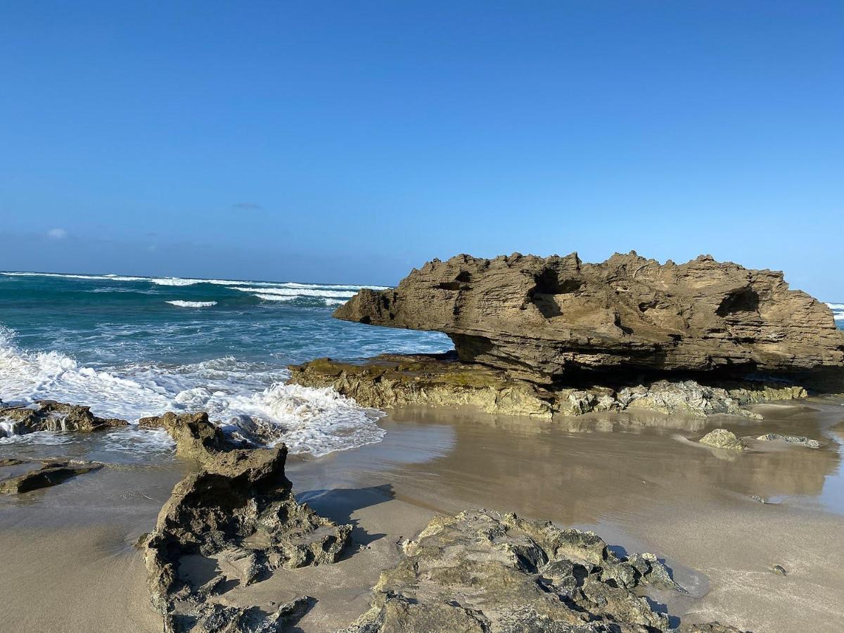 Cabarete Beachfront Condos At Nanny Estate C-5 Buitenkant foto